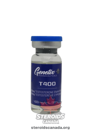 Testosterone 400 Genetix Pharma