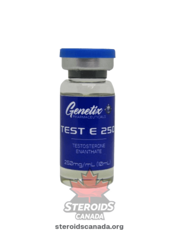 Testosterone Enanthate Genetix Pharma
