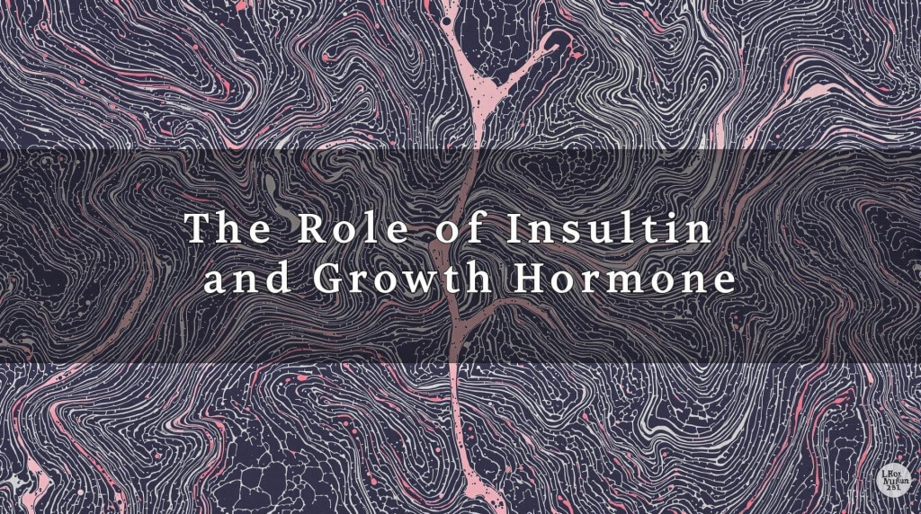 The Role of Insulin and Growth Hormone