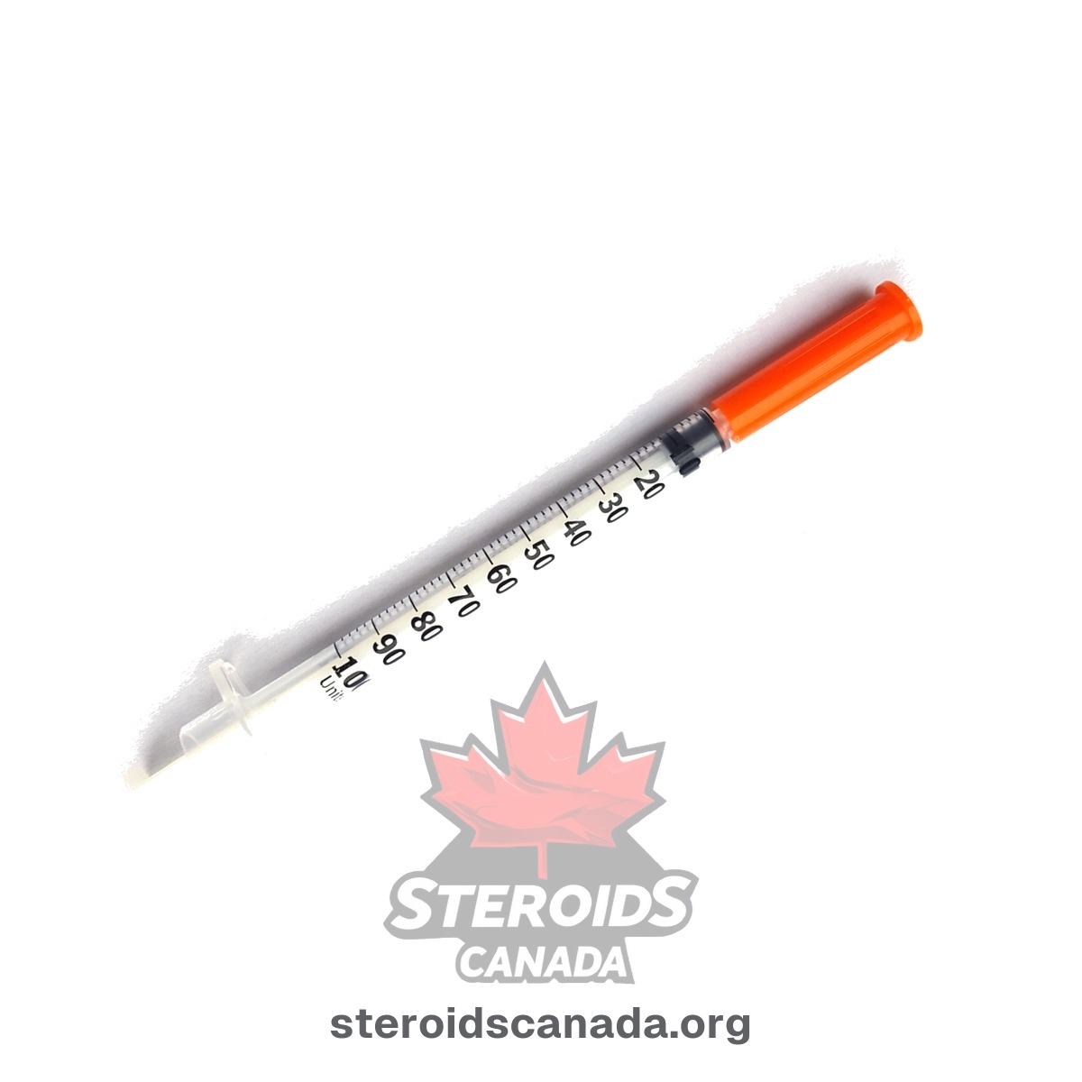 EasyTouch Insulin Syringes 30G U-100 (bag of 10)